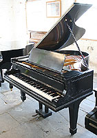 Neumeyer Grand Piano