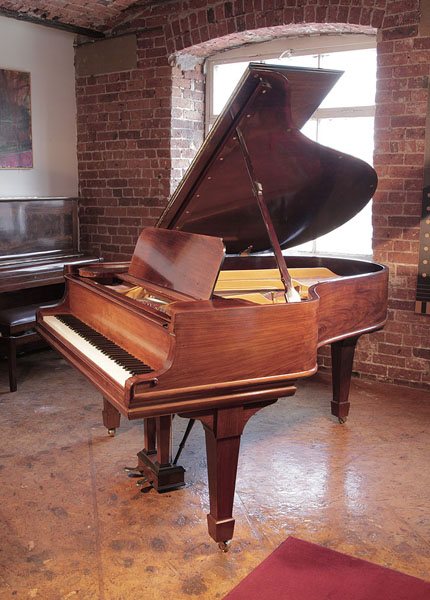Restored, 1906, Steinway Model O grand piano for sale with a polished, mahogany case and spade legs. 