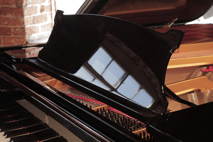 Black Gloss Pianos