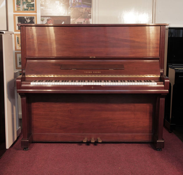 Reconditioned, Young Chang U-131 upright piano for sale with a walnut case and brass fittings. Piano has an eighty-eight note keyboard and three pedals. 
